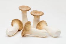 Neue Öffnungszeiten